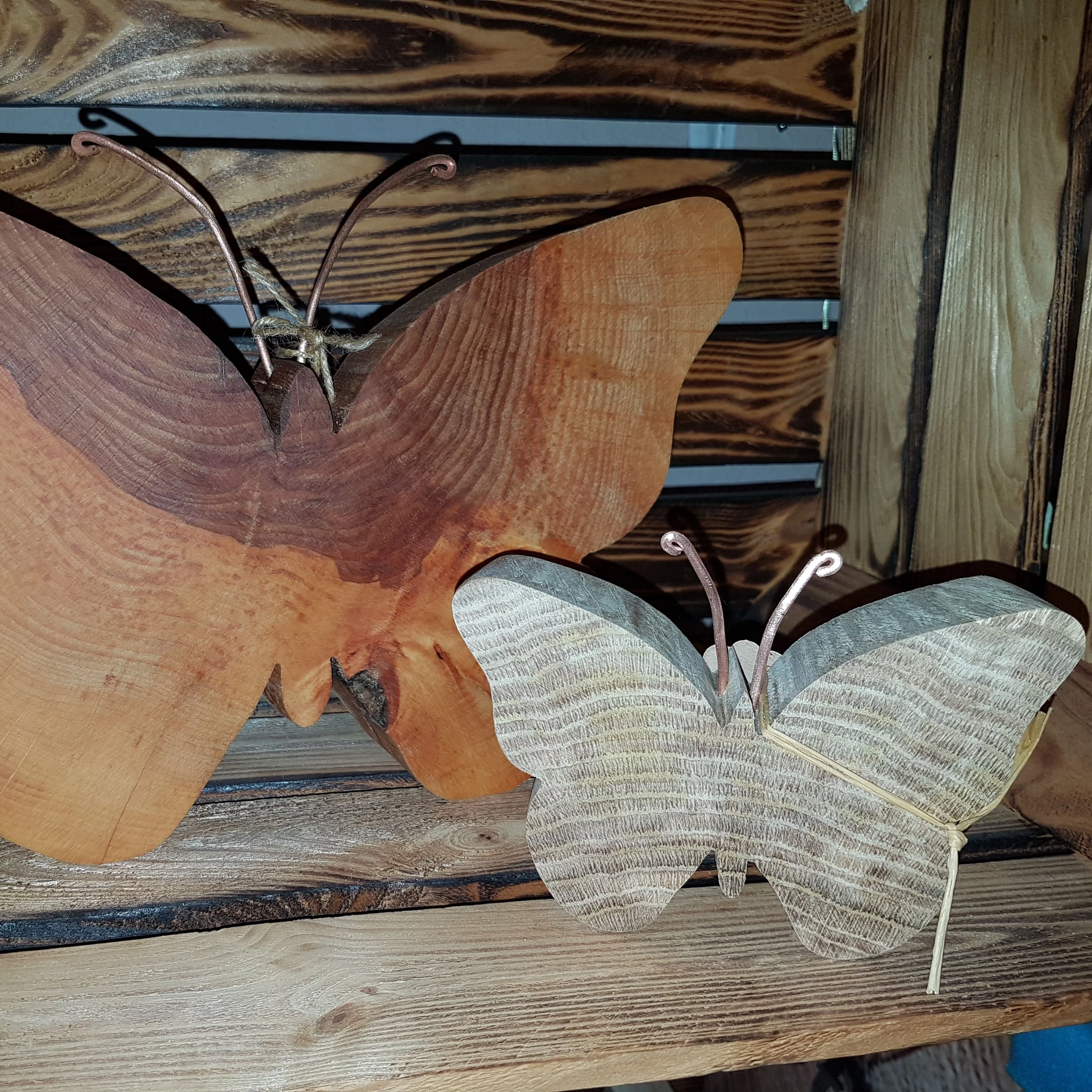 Schmetterlinge groß